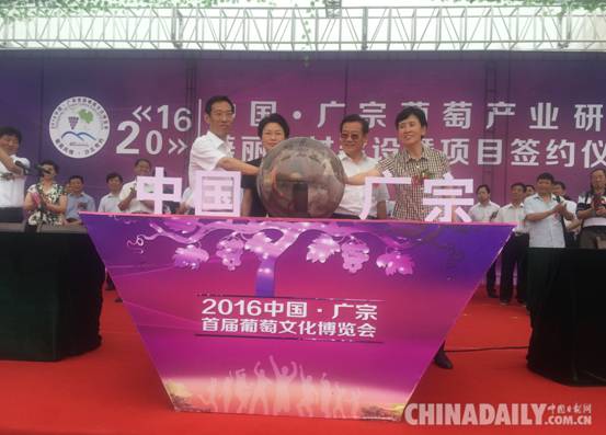 中國(guó)•廣宗首屆葡萄文化博覽會(huì)啟幕