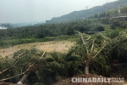 河北省企業(yè)社會責(zé)任促進會籌20萬元救災(zāi)物資赴邢臺災(zāi)區(qū)