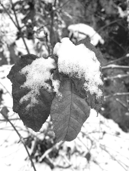 河南48小時(shí)內(nèi)連發(fā)50個(gè)天氣預(yù)警