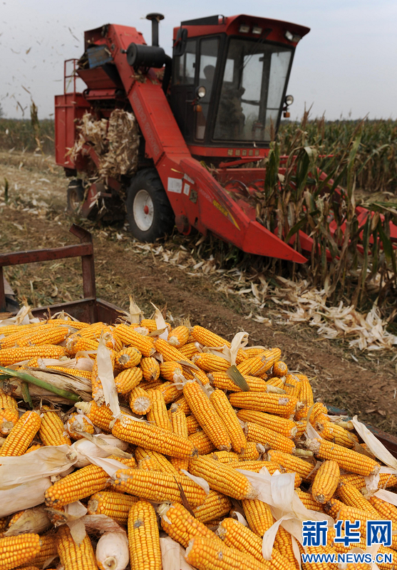 河南省秋收過六成