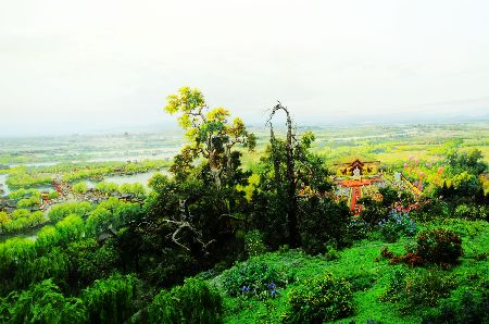 第十一屆“網(wǎng)上看河南”采風(fēng)活動(dòng)在鄭州啟動(dòng)