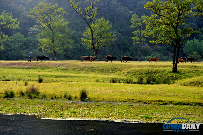 河南信陽：田園風(fēng)光美景如畫卷