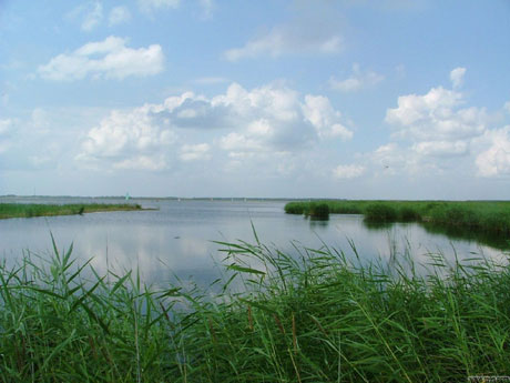 水禽樂園——扎龍自然保護(hù)區(qū)[圖]