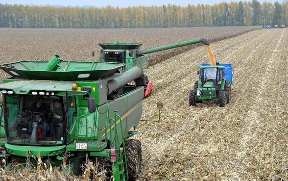 黑龍江墾區(qū)玉米豐收