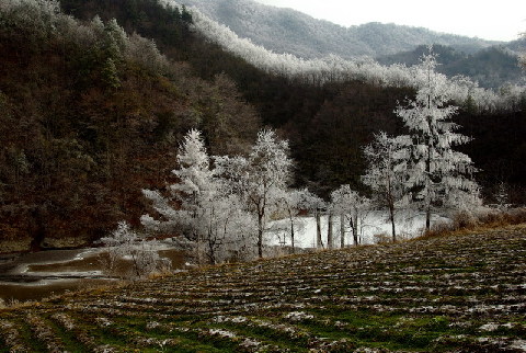 神農(nóng)架出現(xiàn)持續(xù)霧凇景觀(圖)