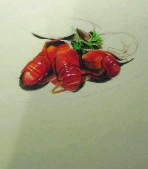 武漢理工大女生手繪美食走紅網(wǎng)絡 被稱文藝范吃貨