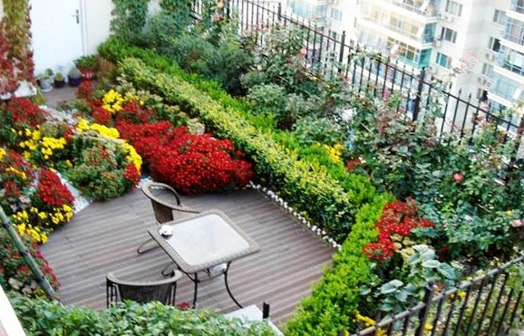 世界立體綠化攝影大賽正式啟動