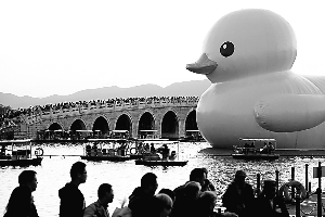 8萬人爭看大黃鴨 市屬公園迎來高峰