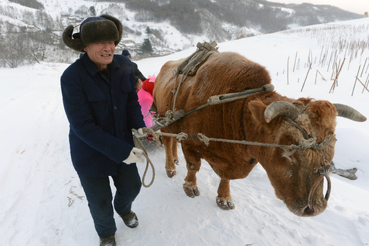 中國藝術(shù)攝影學(xué)會攝影創(chuàng)作基地在吉林臨江成立
