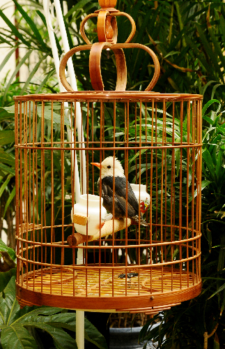 品一口香茶，享一刻幽靜