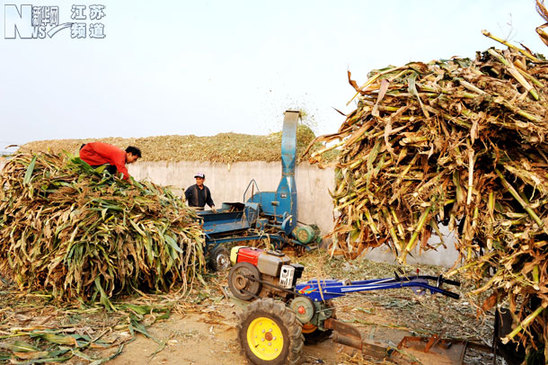 贛榆：秸稈回收利用效益顯著