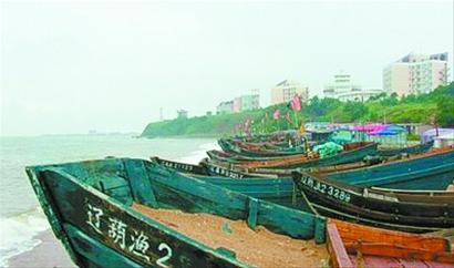 記者走基層:誰動(dòng)了我們的海蜇？