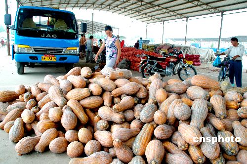 我發(fā)布首個(gè)農(nóng)產(chǎn)品出口五年規(guī)劃 2010年達(dá)380億