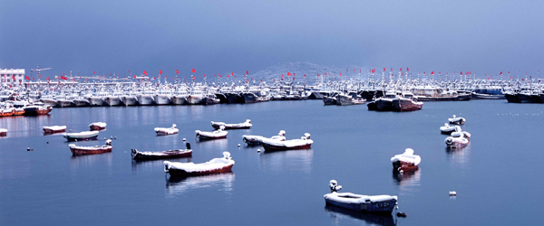 “靖海灣杯?藍色威海—秀美漁業(yè)”攝影展在威海舉行