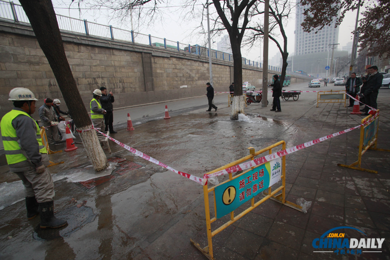 濟(jì)南首現(xiàn)大樹(shù)“吐水”奇觀