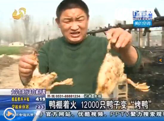 梁山一鴨棚疑因電線掉落起火 上萬(wàn)只鴨子變“烤鴨”