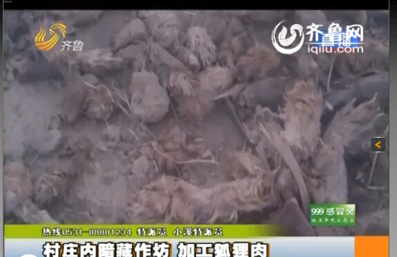 臨沂：村莊內(nèi)暗藏小作坊 日加工死狐貍?cè)馍习賴?/></p>

<p><strong>臨沂</strong>齊魯網(wǎng)<strong>11月13日訊</strong>同樣的一袋肉，在這家超市是羊肉，到了另一家超市變成了驢肉，再換一家超市又成了狗肉，然而這是一袋最不應(yīng)該出現(xiàn)在消費者餐桌上的肉，為了消費者的食品安全，記者冒著風險連續(xù)三天的暗訪，究竟是什么肉呢？</p>

<p>據(jù)山東廣播電視臺齊魯頻道《小溪辦事》欄目報道，這是臨沂河東區(qū)鳳凰嶺街道的潘家湖村，一進村記者就聞到了引人做嘔的腥臭味，爆料人稱這是村里人加工肉的味道，而且全村每家每戶都參與加工肉的工作，這也成為全村人的主要經(jīng)濟來源?！斑@是暴利，一天掙大（近）萬多塊錢，這不暴利嗎？這味太大了，我在里面聞不了?！?/p>

<p>記者在看到村里的街道上到處都是動的肝臟和爪子，街道上每隔十幾米就有一個加工肉的作坊，報料人稱加工肉的作坊沒有任何手續(xù)，而他們加工的究竟是什么肉呢？</p>

<p>爆料人拿著起一袋肉稱：“這就是他們當狗肉賣的狐貍凍！肉凍是用水和膠勾兌的，再把肉摻在一起?！边@包裝的“農(nóng)家風味”，竟然是狐貍?cè)狻Ｓ浾卟榭赐獍b，沒任何的生產(chǎn)廠家、生產(chǎn)日期和保質(zhì)期，更沒有任何國家食用標準的三無產(chǎn)品，而爆料人稱這些三無產(chǎn)品非常暢銷，“山東德州、內(nèi)蒙古、南方一帶江蘇銷量比較大”。</p>

<p>記者從爆料人那里了解到，這狐貍?cè)猱a(chǎn)品可不止狐貍凍這一種，而是五花八門什么肉都有，利潤非?？捎^?！坝褪裁吹?、肝什么的都賣了，沒有扔的，還有狐貍骨頭架子，這些東西都賣了，沒有剩下的東西，當成狗肉、牛肉、羊肉這些肉賣了，以次充好！”爆料人還稱：“他們的利潤空間非常大，一個冬天大約能賺好十幾萬?！?/p>
</p>
</div>
</div>

<div   class=