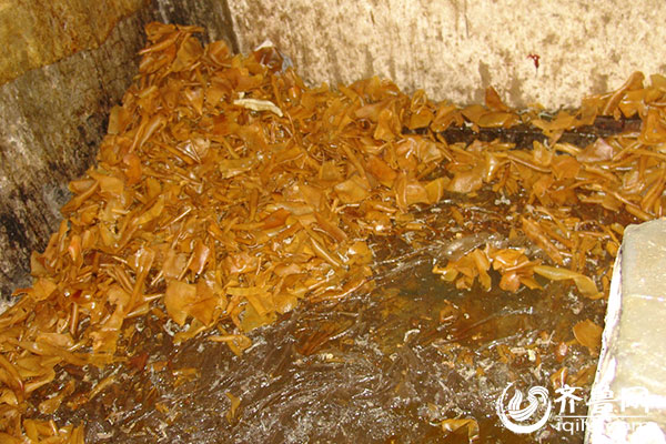 泰安檢察官揭秘“毒皮肚”案審判過(guò)程:制售者險(xiǎn)逃法網(wǎng)