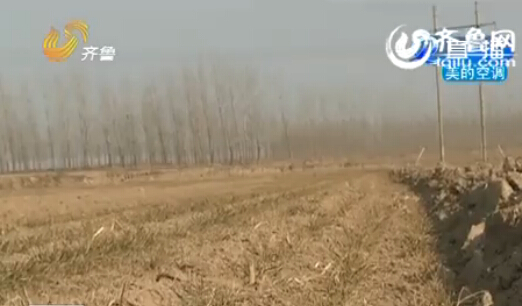 聊城:農(nóng)戶家15畝麥苗全部死亡 原因仍在調(diào)查當(dāng)中