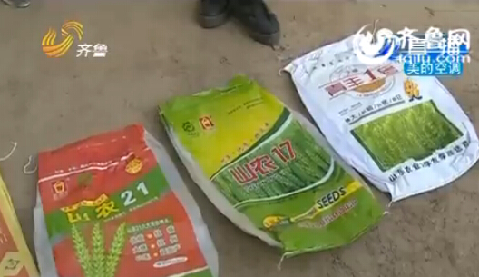 聊城:農(nóng)戶家15畝麥苗全部死亡 原因仍在調(diào)查當(dāng)中