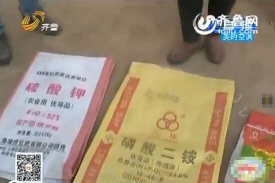 聊城:農(nóng)戶家15畝麥苗全部死亡 原因仍在調(diào)查當(dāng)中