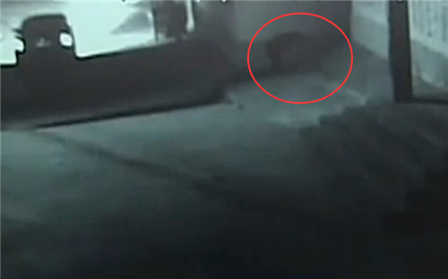 蓬萊一男子自家門口身亡 肇事者系死者多年好友(圖)