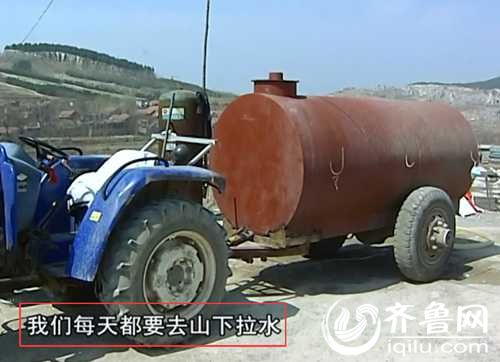 泰山小動物保護(hù)中心窘?jīng)r：狗糧緊缺 下山買水挺貴