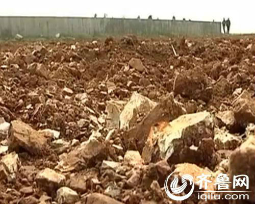 臨沂一村莊被上千墓地包圍 村民口糧地被破壞(圖)