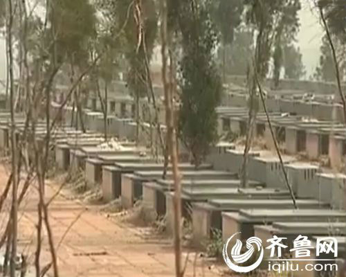 臨沂一村莊被上千墓地包圍 村民口糧地被破壞(圖)