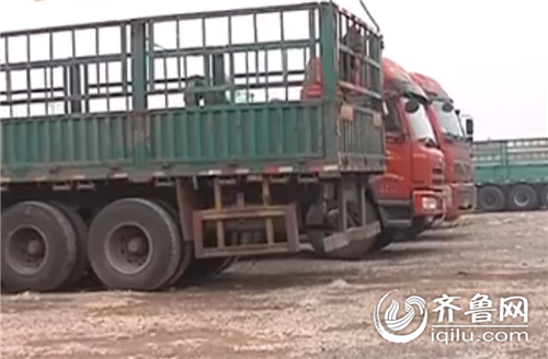 濰坊車主購買貨物險(xiǎn)出差錯 太平洋保險(xiǎn)承認(rèn)存疏忽