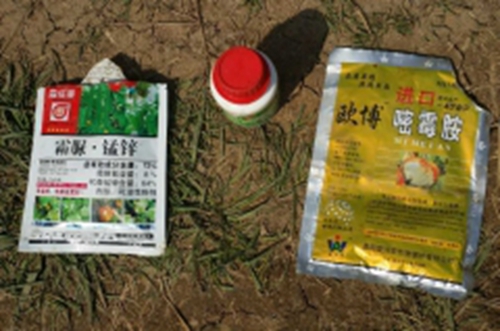 濟(jì)寧:錳鋅藥“毒倒”數(shù)畝甜瓜 廠家稱不是藥的問題