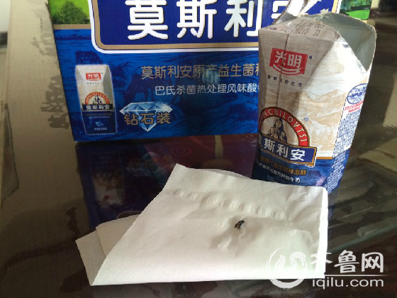 濟(jì)南市民光明莫斯利安酸奶喝出蒼蠅 售后:愿賠200元