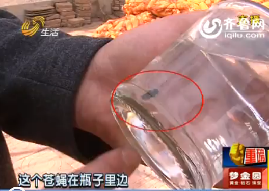 德州:未開瓶“獨占”牌酒里有蒼蠅 廠方認(rèn)定是假貨