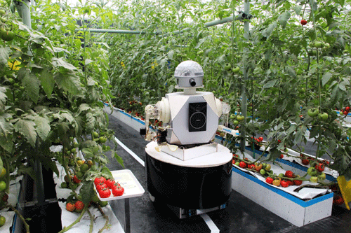 山東壽光舉行國際蔬菜科技博覽會