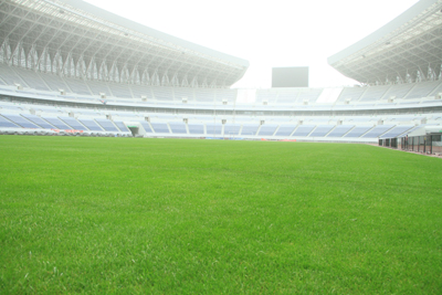 2012倫敦奧運(yùn)會(huì)女足亞洲區(qū)決賽即將濟(jì)南打響