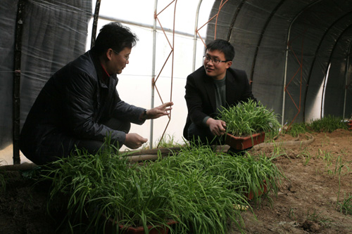 大學(xué)生柴會龍的“家庭農(nóng)場夢”