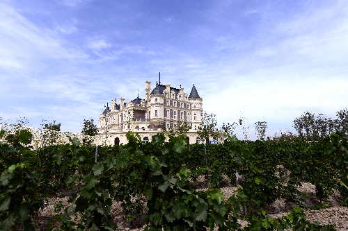 新疆首座專業(yè)葡萄酒莊--張裕巴保男爵酒莊開業(yè)