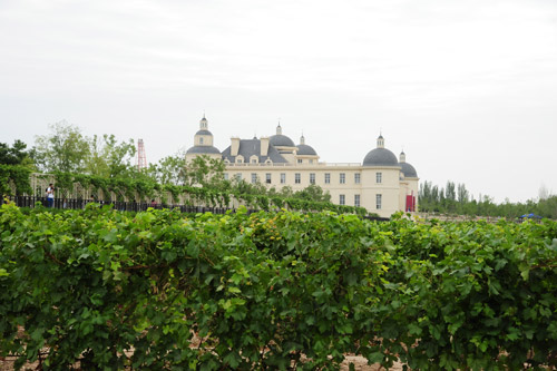 張裕摩塞爾十五世酒莊開業(yè)