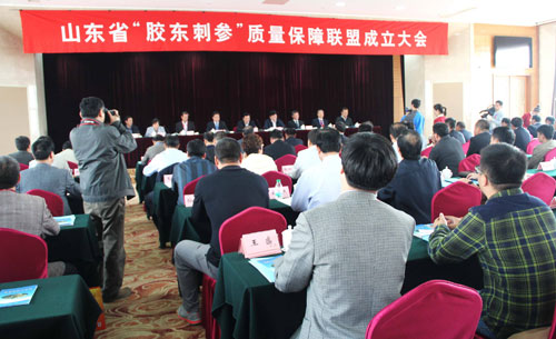 山東成立“膠東刺參”品牌聯(lián)盟 全程監(jiān)管保證質(zhì)量