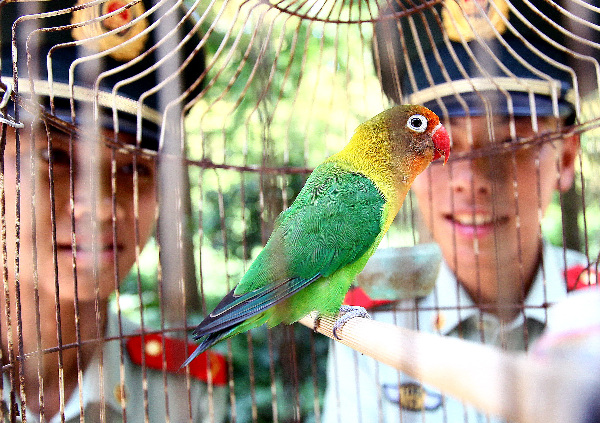 士兵護(hù)鳥愛(ài)鳥 駐地生態(tài)優(yōu)良