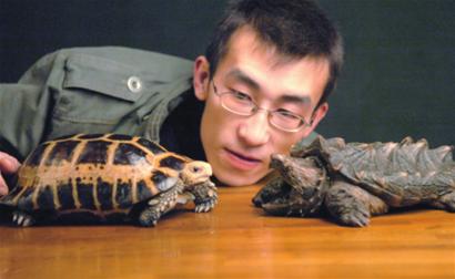 上海市民錯買鱷龜后頻棄養(yǎng) 動物園收容“龜滿為患”[圖]