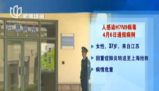 上海再現(xiàn)感染H7N9病毒病例 發(fā)病率與活禽交易有關(guān)