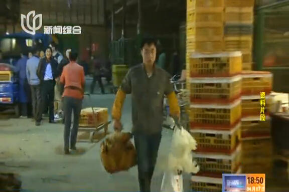 上海再現(xiàn)感染H7N9病毒病例 發(fā)病率與活禽交易有關(guān)