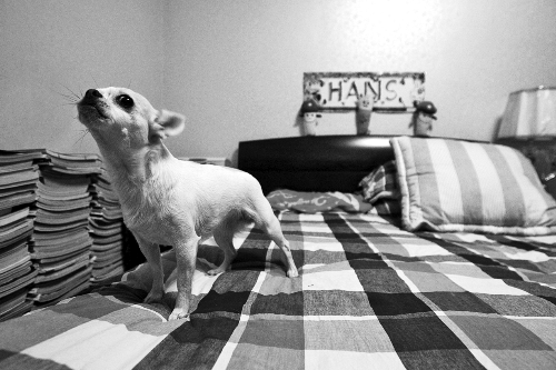 中國(guó)小伙報(bào)瑞士老人萍水恩情 接其回國(guó)養(yǎng)老送終