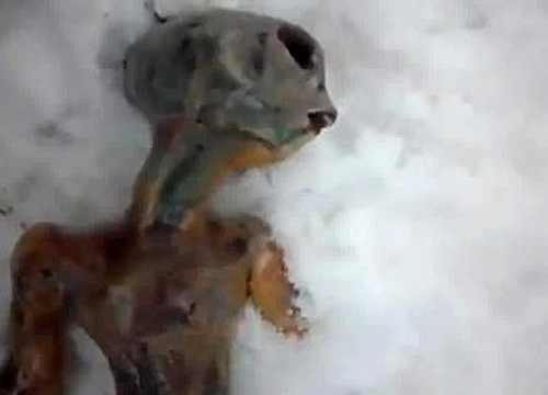 盤(pán)點(diǎn)那些真真假假的“外星人”事件(組圖)