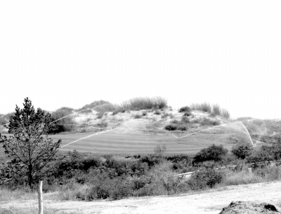 違規(guī)審批愈演愈烈 高爾夫與人爭水爭地何時休?