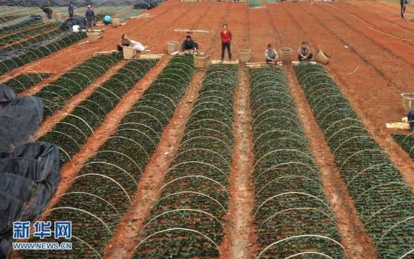 本網(wǎng)記者走基層 見證甕安二十四小時(shí)