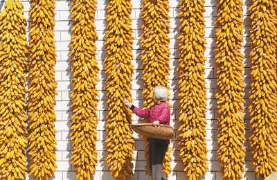 2011，開(kāi)局之年的“中國(guó)答卷”