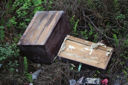 2小女孩鉆進(jìn)家中木箱