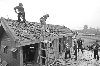 男子花50萬元建鴿子別墅 內(nèi)住價值2000萬元鴿王